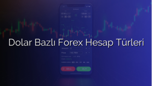 Dolar Bazlı Forex Hesap Türleri