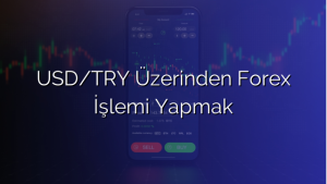 USD/TRY Üzerinden Forex İşlemi Yapmak